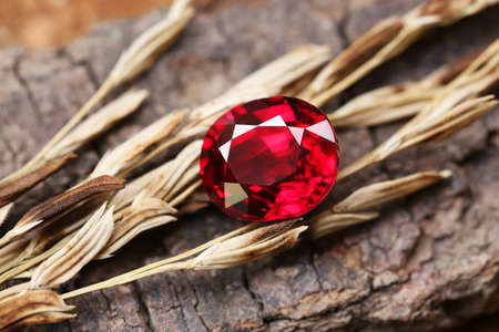 Gemstone on natural background real texture