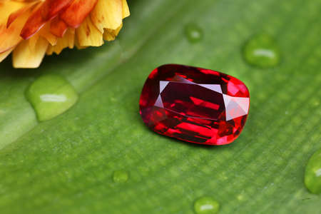 Gemstone on natural background real textureの写真素材