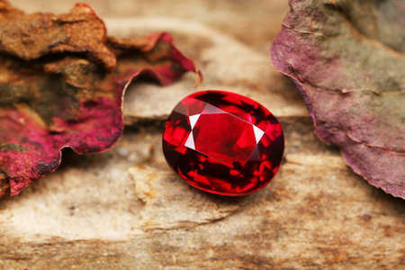 Gemstone on natural background real textureの写真素材