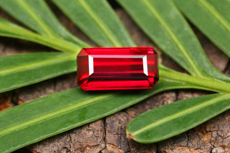 Gemstone on natural background real texture