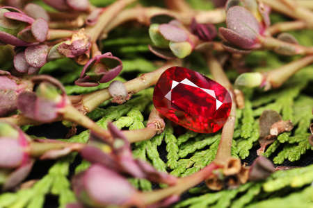 Gemstone Background Textureの写真素材