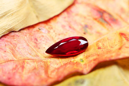 Red Gems Beauty Shotの写真素材