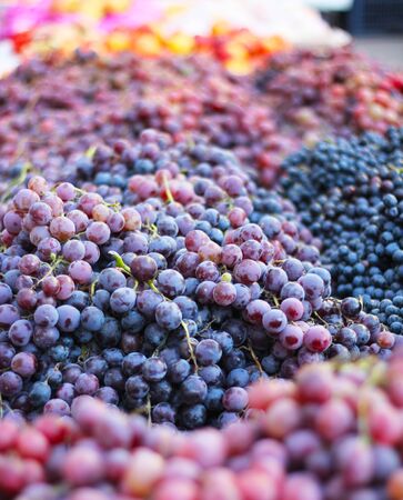 Red grapes in the marketの写真素材