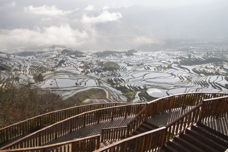 Wooden terrace over the multi-level rice field, Yuanyang, Chinaの写真素材