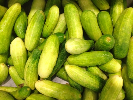 Cucumberの写真素材