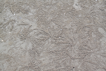 Sand ball on the beach made by crabs