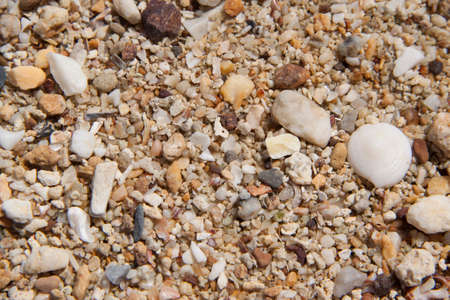 Rough sand and coral の写真素材