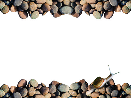 Snail crawling on the stone backgroundの写真素材