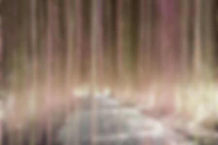 Plant roots blurred as the backgroundの写真素材