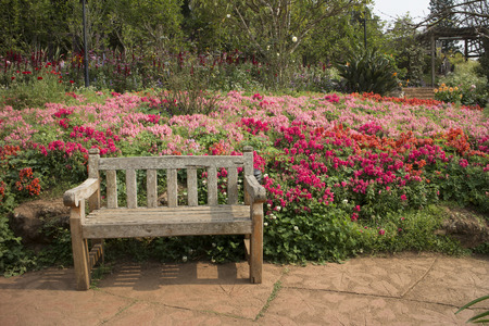 Old wooden bench in the outdoor gardenの写真素材