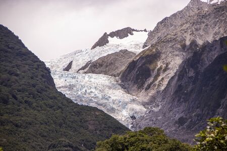 Franz Joseph Glacier of New Zealand in summerの写真素材