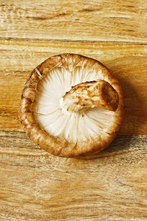 Shiitake mushroomの写真素材