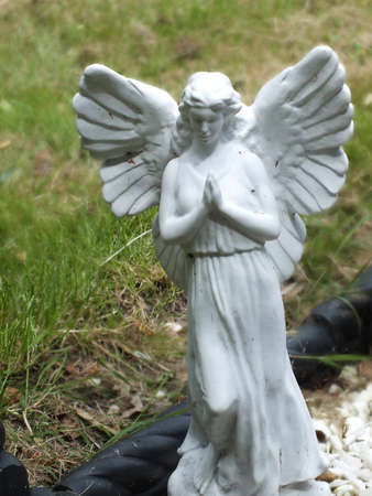 butterfly winged angelの写真素材