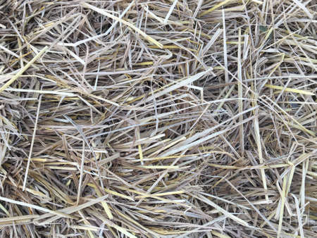 texture backgroundsの写真素材