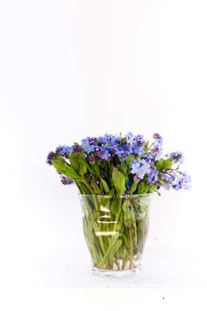 Blue wildflowers in a glass cup against a white wall. White background. Forget me nots.の写真素材