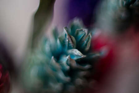 Painted blades of grass macro shot with a large depth of field.の写真素材