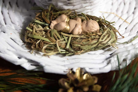 Figurine of Jesus in a bed of salomeの写真素材