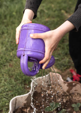A child watering a flower bed with a baby watering can. High quality photo