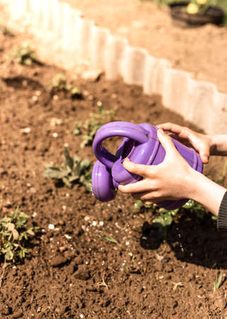 A child watering a flower bed with a baby watering can. High quality photoの写真素材