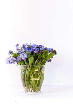 Blue wildflowers in a glass cup against a white wall. White background. Forget me nots.の写真素材