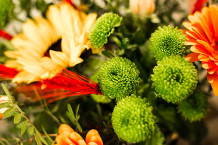 Beautiful bouquets of different colors in a vase on a gray background