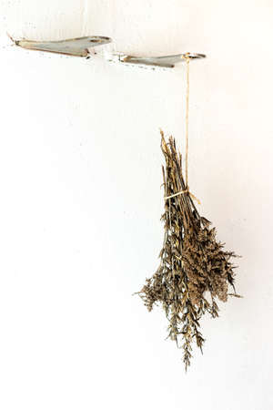 Bouquet of dried herbs on a white background.の写真素材