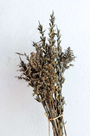 Bouquet of dried herbs on a white background.の写真素材