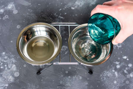 A hand pouring pure water from a glass into a bowl for a domestic cat.の写真素材