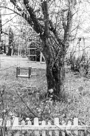 Childrens swing hang on a tree on a site near the houseの写真素材
