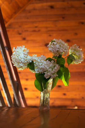White flowers in a crystal vase in the rays of lightの写真素材