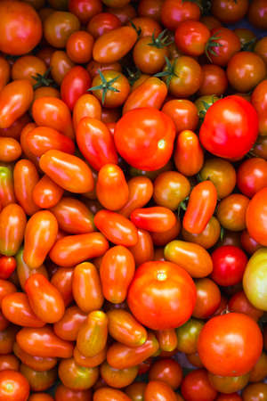 Lots of red juicy tomatoes. Background from vegetables.の写真素材