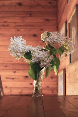 White flowers in a crystal vase in the rays of lightの写真素材