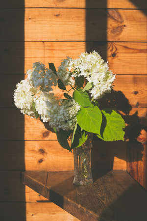 White flowers in a crystal vase in the rays of lightの写真素材