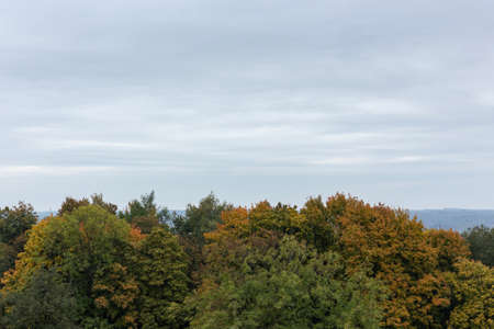 Autumn trees and cloudy sky. Minimalistic landscape.の写真素材