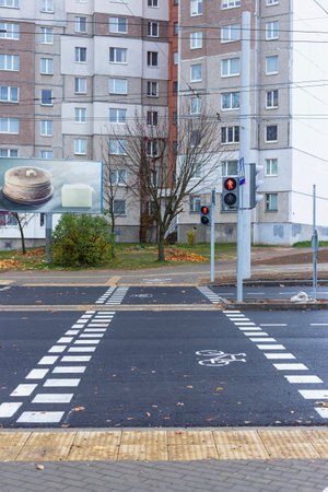 Bicycle path passing through the pedestrian crossing.の写真素材