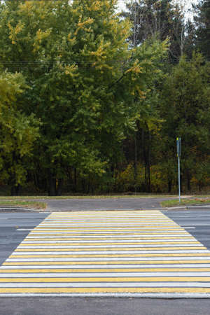 Yellow - white pedestrian crossing across the carriagewayの写真素材