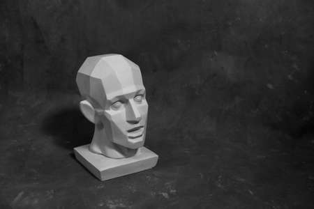 Hypnotic head for teaching drawing on a uniform backgroundの写真素材