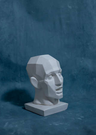 Hypnotic head for teaching drawing on a uniform backgroundの写真素材