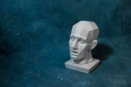 Hypnotic head for teaching drawing on a uniform backgroundの写真素材
