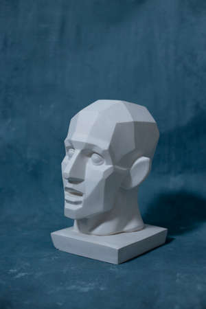 Hypnotic head for teaching drawing on a uniform backgroundの写真素材