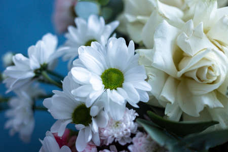 Bouquet of flowers on a blue background. Blooming flowers.の写真素材