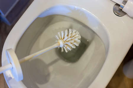 Cleaning the toilet bowl with a toilet brush.の写真素材