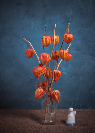 Still life with physalis in a vase and an angel figurine on a blue background.の写真素材