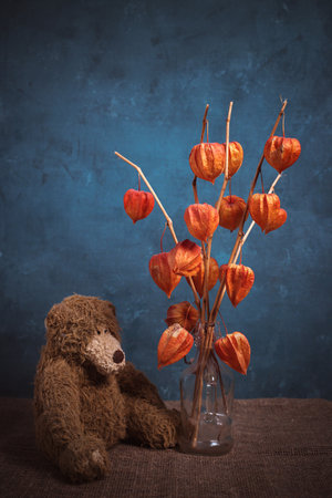 Physalis in a vase and a plush bouquet on a blue background. Still life.の写真素材