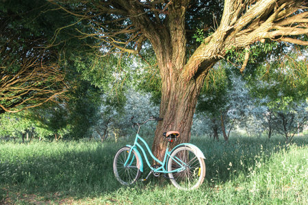 A blue cruiser bicycle stands under a treeの写真素材