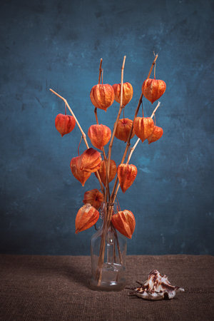 Still life with a bouquet of physalis and shells on a blue backgroundの写真素材
