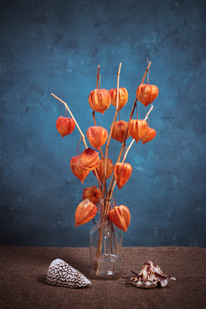 Still life with a bouquet of physalis and shells on a blue backgroundの写真素材