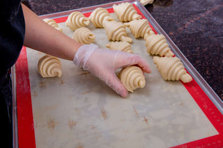 A pastry chef in the kitchen is making pastries. The chef lays out the croissant blanks on a baking sheet before baking. Master class in the kitchen. The process of cooking. Step by step. Tutorial.の写真素材