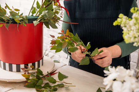 Florist workplace on the background of a white brick wall. An experienced florist cuts off excess leaves and adds flowers to the arrangement in a red box. Step by step. Tutorial.の写真素材
