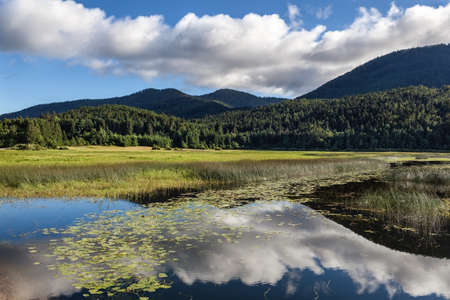 Beautiful cloudscape reflection in intermittent lake at Cerknica, Slovenia.の写真素材